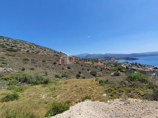 Αγροτεμάχια 2.000 τ.μ. για πώληση, Αργολίδα, Ασίνη-thumb-5