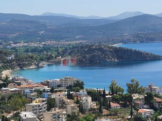 Αγροτεμάχια 2.000 τ.μ. για πώληση