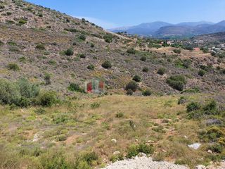 Αγροτεμάχια 2.000 τ.μ. για πώληση, Αργολίδα, Ασίνη-thumb-11