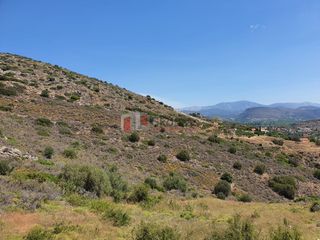 Αγροτεμάχια 2.000 τ.μ. για πώληση, Αργολίδα, Ασίνη-thumb-9