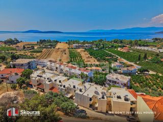 Διαμέρισμα 84 τ.μ. για πώληση, Αργολίδα, Ασίνη-thumb-20