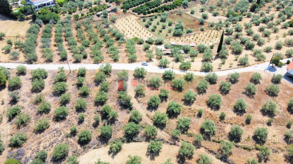 Αγροτεμάχια 2.700 τ.μ. προς πώληση, Νέο Ροεινό