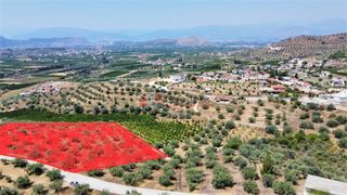 Αγροτεμάχια 2.700 τ.μ. για πώληση