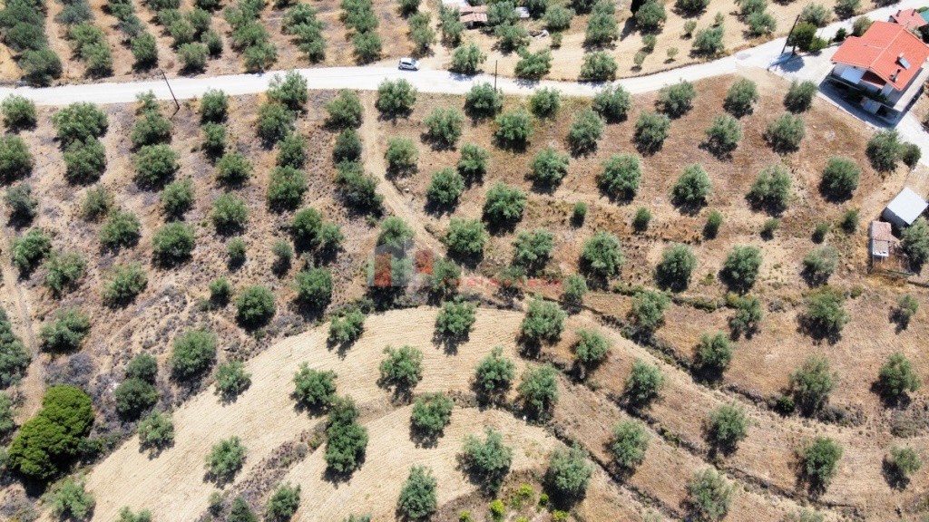 Αγροτεμάχια 2.700 τ.μ. προς πώληση, Νέο Ροεινό