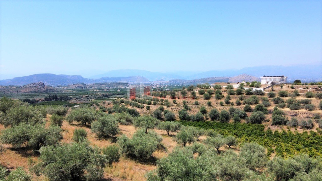Αγροτεμάχια 2.700 τ.μ. προς πώληση, Νέο Ροεινό