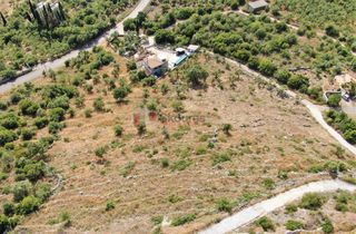 Οικόπεδο 961 τ.μ. για πώληση, Μεσσηνία, Λεύκτρος-thumb-14