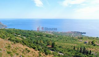Οικόπεδο 961 τ.μ. για πώληση, Μεσσηνία, Λεύκτρος-thumb-17