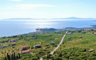Οικόπεδο 961 τ.μ. για πώληση, Μεσσηνία, Λεύκτρος-thumb-7