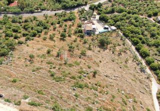 Οικόπεδο 961 τ.μ. για πώληση, Μεσσηνία, Λεύκτρος-thumb-5