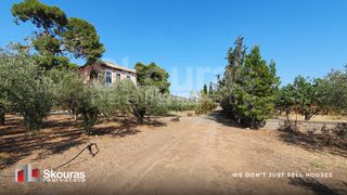 Βίλλα 341 τ.μ. για πώληση, Αργολίδα, Ερμιόνη-thumb-20
