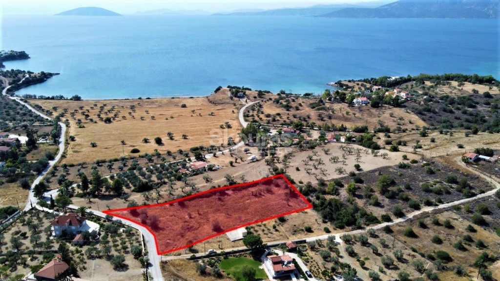 Αγροτεμάχια 6.250 τ.μ. προς πώληση, Λάκκες Κρανιδίου