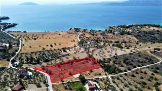 Αγροτεμάχια 6.250 τ.μ. για πώληση, Αργολίδα, Κρανίδι-thumb-2