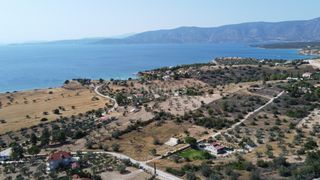 Αγροτεμάχια 6.250 τ.μ. για πώληση, Αργολίδα, Κρανίδι-thumb-21