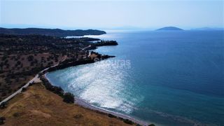 Αγροτεμάχια 6.250 τ.μ. για πώληση, Αργολίδα, Κρανίδι-thumb-24