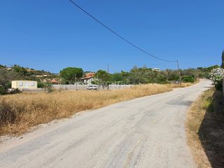Αγροτεμάχια 6.250 τ.μ. για πώληση, Αργολίδα, Κρανίδι-thumb-5