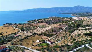 Αγροτεμάχια 6.250 τ.μ. για πώληση, Αργολίδα, Κρανίδι-thumb-14