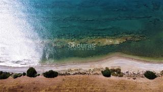 Αγροτεμάχια 6.250 τ.μ. για πώληση, Αργολίδα, Κρανίδι-thumb-7