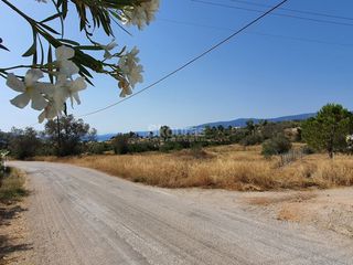 Αγροτεμάχια 6.250 τ.μ. για πώληση, Αργολίδα, Κρανίδι-thumb-19