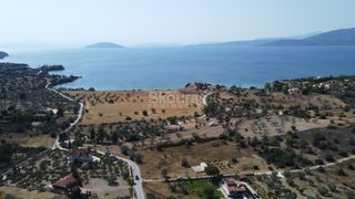 Αγροτεμάχια 6.250 τ.μ. για πώληση, Αργολίδα, Κρανίδι-thumb-20