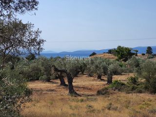 Αγροτεμάχια 6.250 τ.μ. για πώληση, Αργολίδα, Κρανίδι-thumb-3