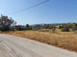 Αγροτεμάχια 6.250 τ.μ. για πώληση, Αργολίδα, Κρανίδι-thumb-6