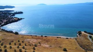Αγροτεμάχια 6.250 τ.μ. για πώληση, Αργολίδα, Κρανίδι-thumb-11