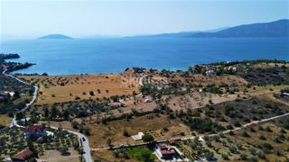Αγροτεμάχια 6.250 τ.μ. για πώληση, Αργολίδα, Κρανίδι-thumb-12