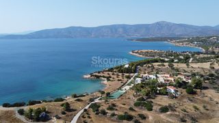 Αγροτεμάχια 6.250 τ.μ. για πώληση, Αργολίδα, Κρανίδι-thumb-8