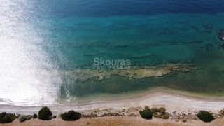 Αγροτεμάχια 6.250 τ.μ. για πώληση, Αργολίδα, Κρανίδι-thumb-15