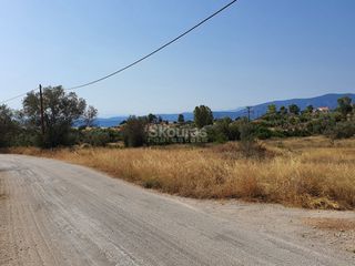Αγροτεμάχια 6.250 τ.μ. για πώληση, Αργολίδα, Κρανίδι-thumb-4