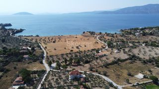 Αγροτεμάχια 6.250 τ.μ. για πώληση, Αργολίδα, Κρανίδι-thumb-22