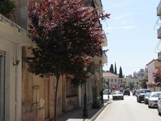 Οικόπεδο 427 τ.μ. για πώληση, Αργολίδα, Άργος-thumb-9