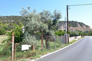 Αγροτεμάχια 1.038 τ.μ. για πώληση