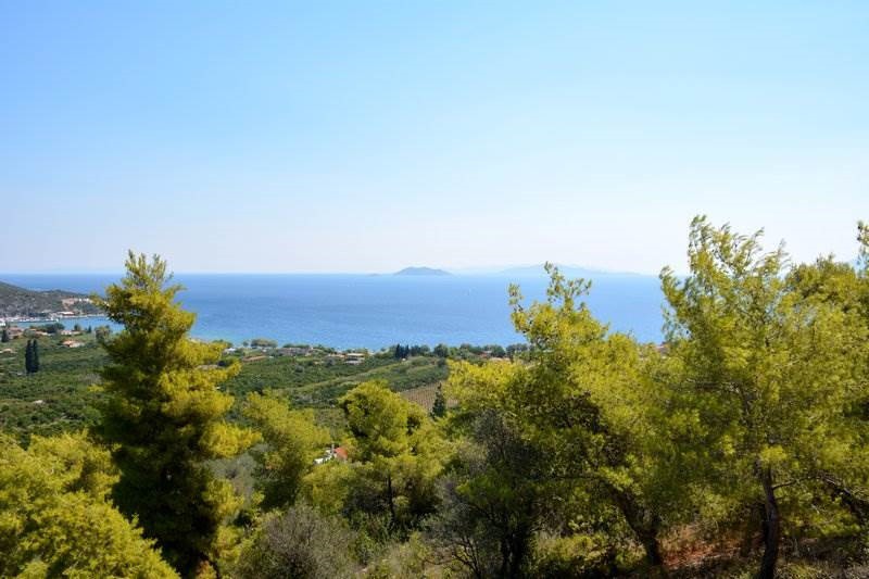 Αγροτεμάχια 4.000 τ.μ. προς πώληση, Νέα Επίδαυρος