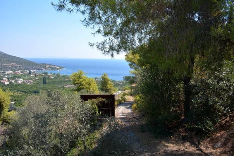 Αγροτεμάχια 4.000 τ.μ. προς πώληση, Νέα Επίδαυρος