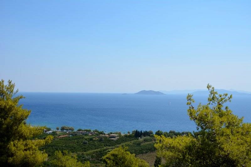 Αγροτεμάχια 4.000 τ.μ. προς πώληση, Νέα Επίδαυρος