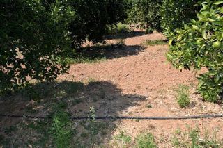 Αγροτεμάχια 14.300 τ.μ. για πώληση, Αργολίδα, Άργος-thumb-13