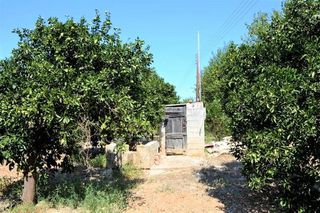 Αγροτεμάχια 14.300 τ.μ. για πώληση, Αργολίδα, Άργος-thumb-8