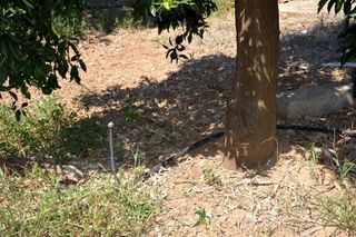 Αγροτεμάχια 14.300 τ.μ. για πώληση, Αργολίδα, Άργος-thumb-18