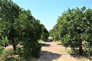 Αγροτεμάχια 14.300 τ.μ. για πώληση, Αργολίδα, Άργος-thumb-16