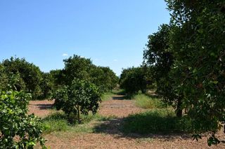 Αγροτεμάχια 14.300 τ.μ. για πώληση, Αργολίδα, Άργος-thumb-23