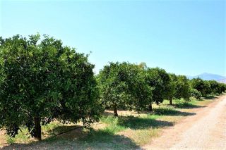 Αγροτεμάχια 14.300 τ.μ. για πώληση, Αργολίδα, Άργος-thumb-17