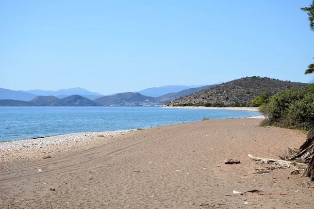 Αγροτεμάχια 4.850 τ.μ. για πώληση, Αργολίδα, Ασίνη