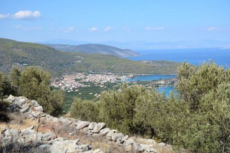 Αγροτεμάχια 1.800 τ.μ. για πώληση