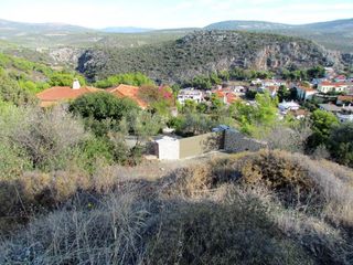 Αγροτεμάχια 7.000 τ.μ. για πώληση