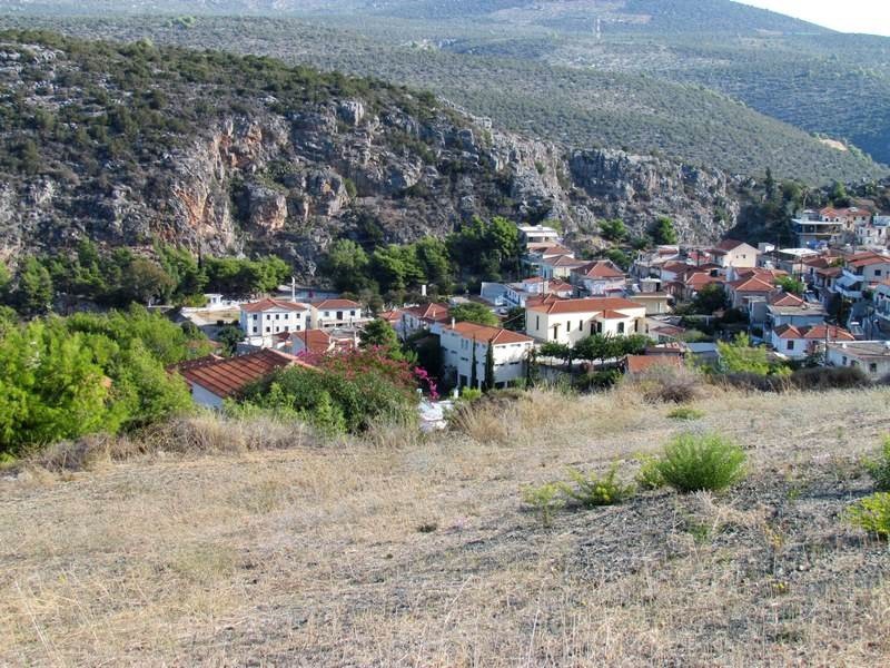 Αγροτεμάχια 7.000 τ.μ. προς πώληση, Νέα Επίδαυρος