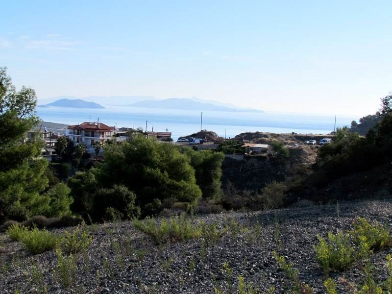 Αγροτεμάχια 7.000 τ.μ. προς πώληση, Νέα Επίδαυρος