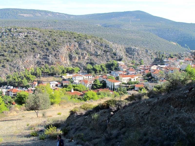 Αγροτεμάχια 7.000 τ.μ. προς πώληση, Νέα Επίδαυρος