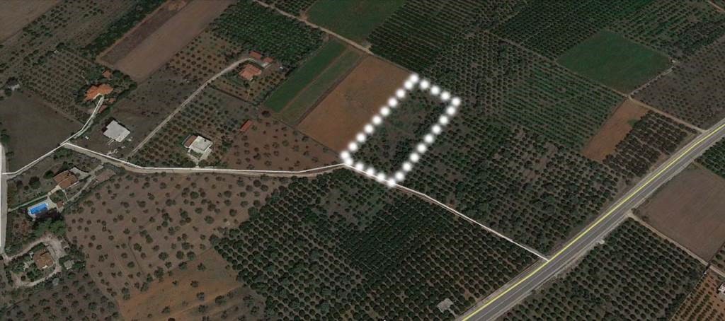 Αγροτεμάχια 4.055 τ.μ. προς πώληση, Τίρυνθα