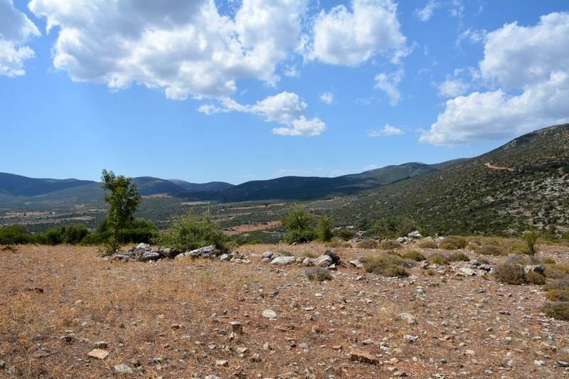 Αγροτεμάχια 7.571 τ.μ. προς πώληση, Αρχαία Επίδαυρος